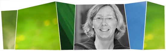 Dr. Corinna Hölzer